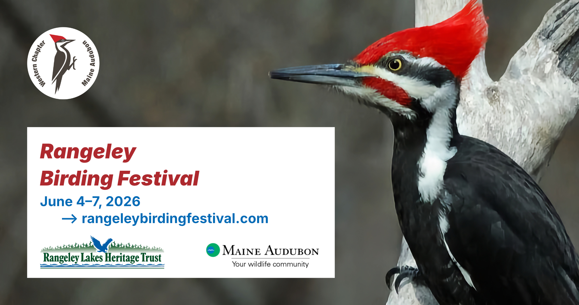 Banner for the Rangeley Birding Festival announcing the dates and website location, in this post.